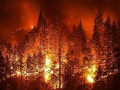 Orman Yangınlarına Karşı Önlemler Görüşüldü